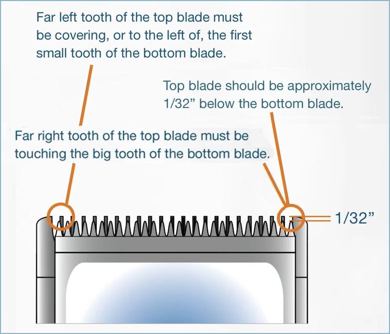 Dog Groomer Clipper Blade Alignment